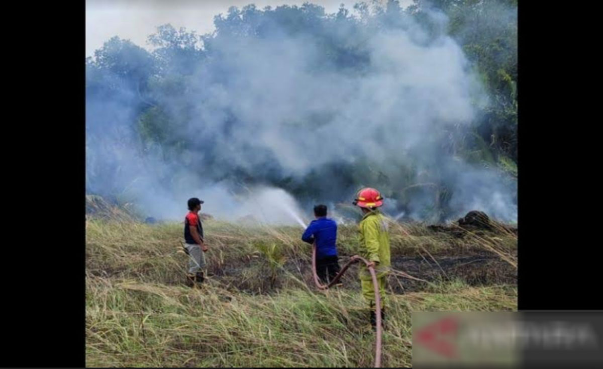 Kebakaran-Hutan