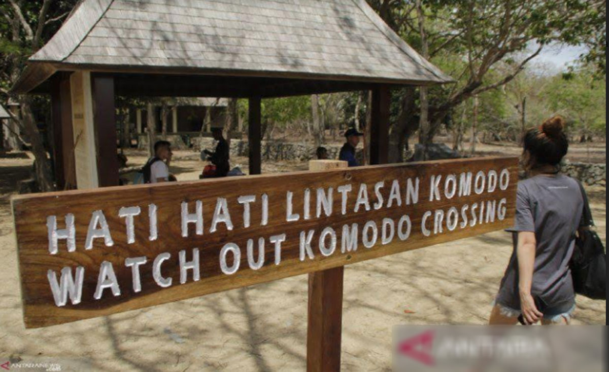 Taman-Nasional-Komodo