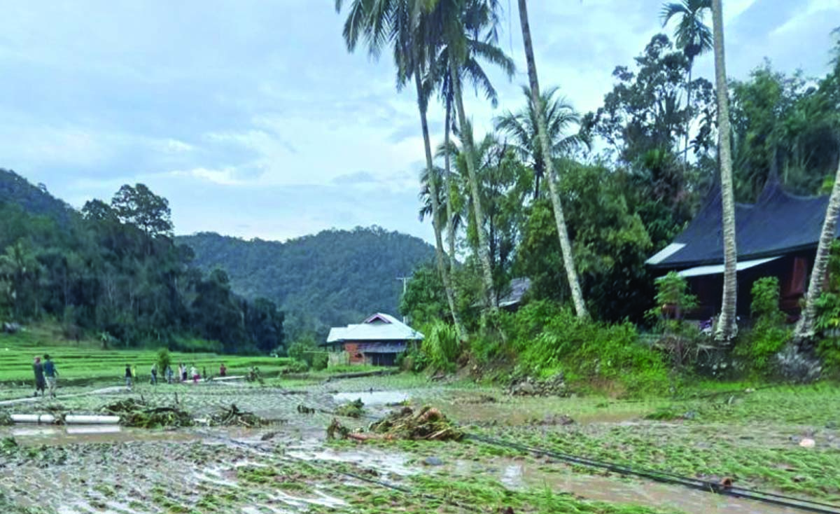 Sejumlah Sawah Warga Terendam Banjir Bandang Di Nagari Garabak Data ...