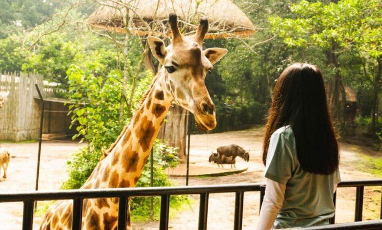 Kebun Binatang Bandung Gratiskan Tiket Masuk saat HUT Ke-77 RI