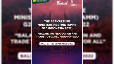 G20-Indonesia-2022
