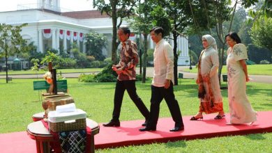 Presiden Jokowi Tekankan Kesatuan ASEAN kepada Presiden Marcos Jr