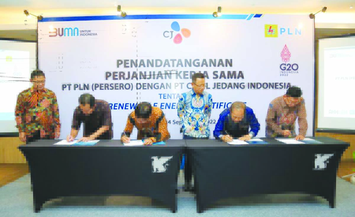 pln