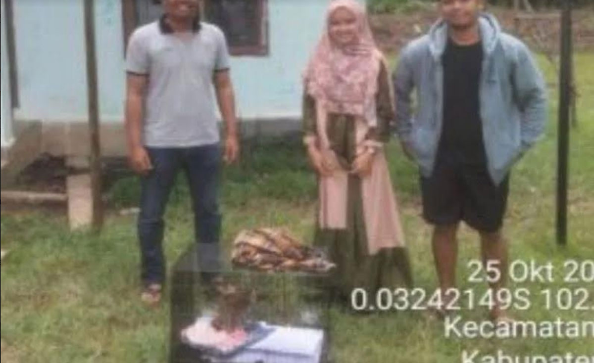 Anak-Macan