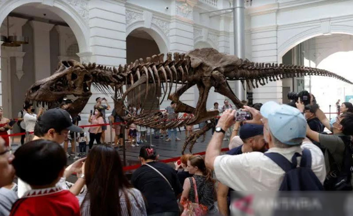 Kerangka-T-Rex