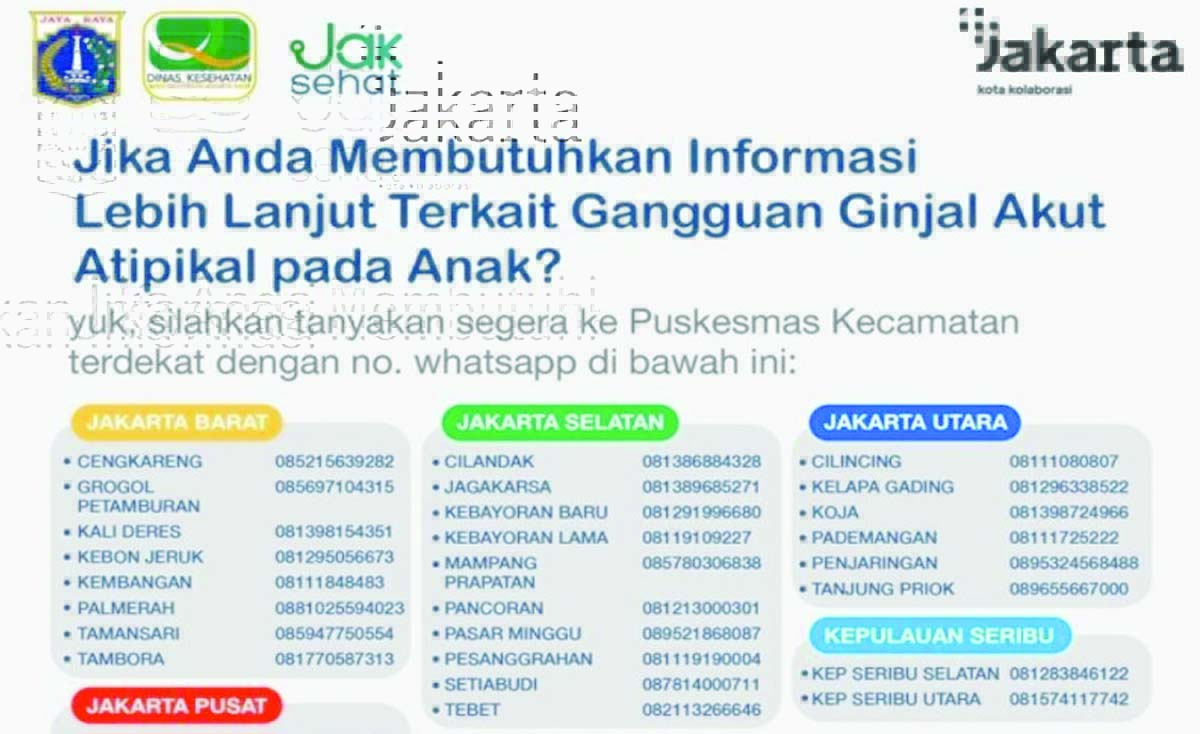 ginjal data