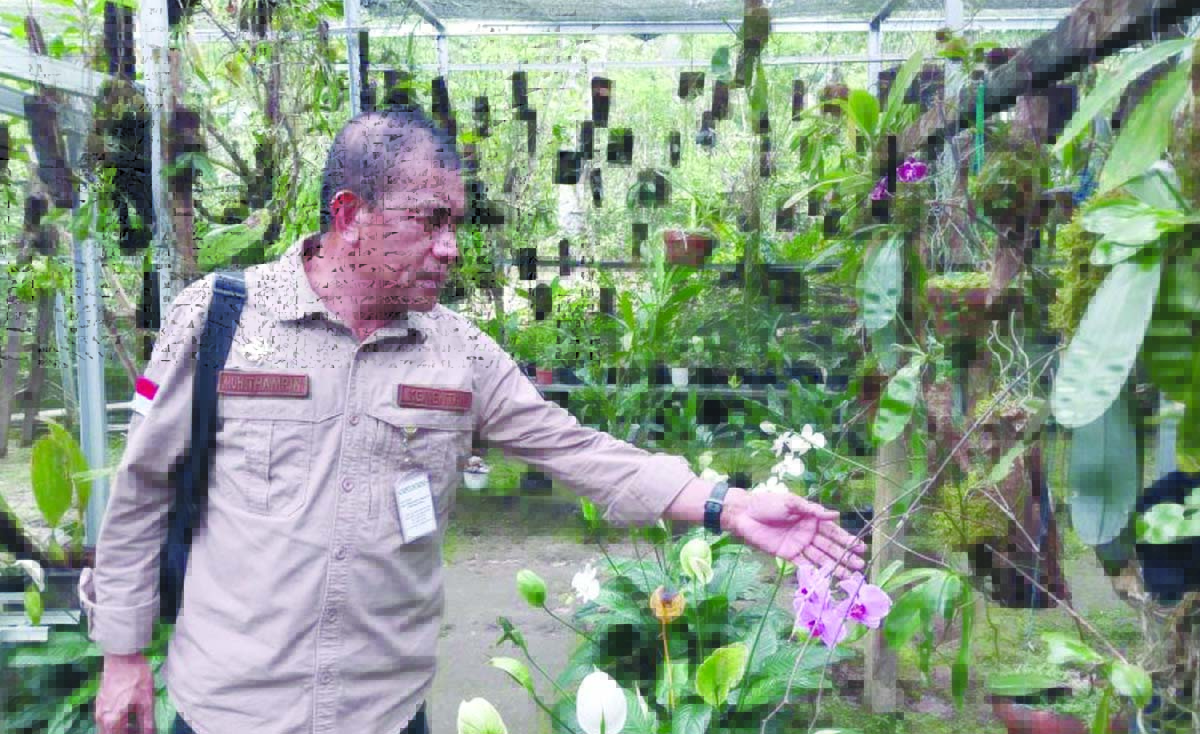 kementan
