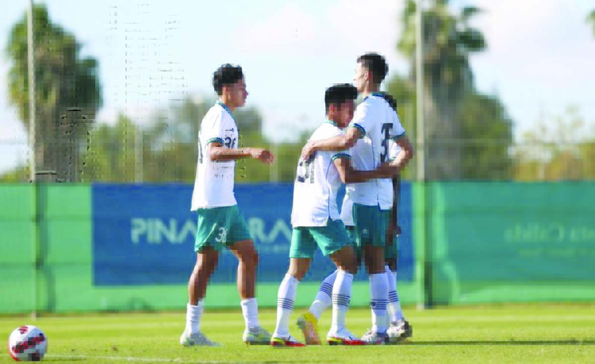 timnas