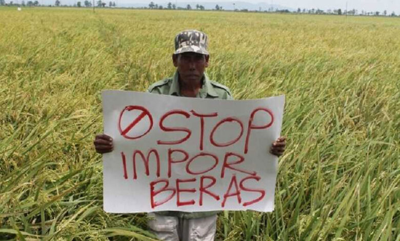 Stop-Impor-Beras