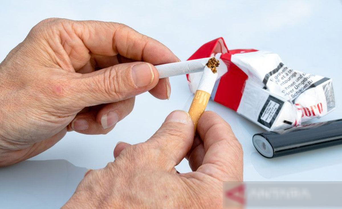 Tembakau-Rokok