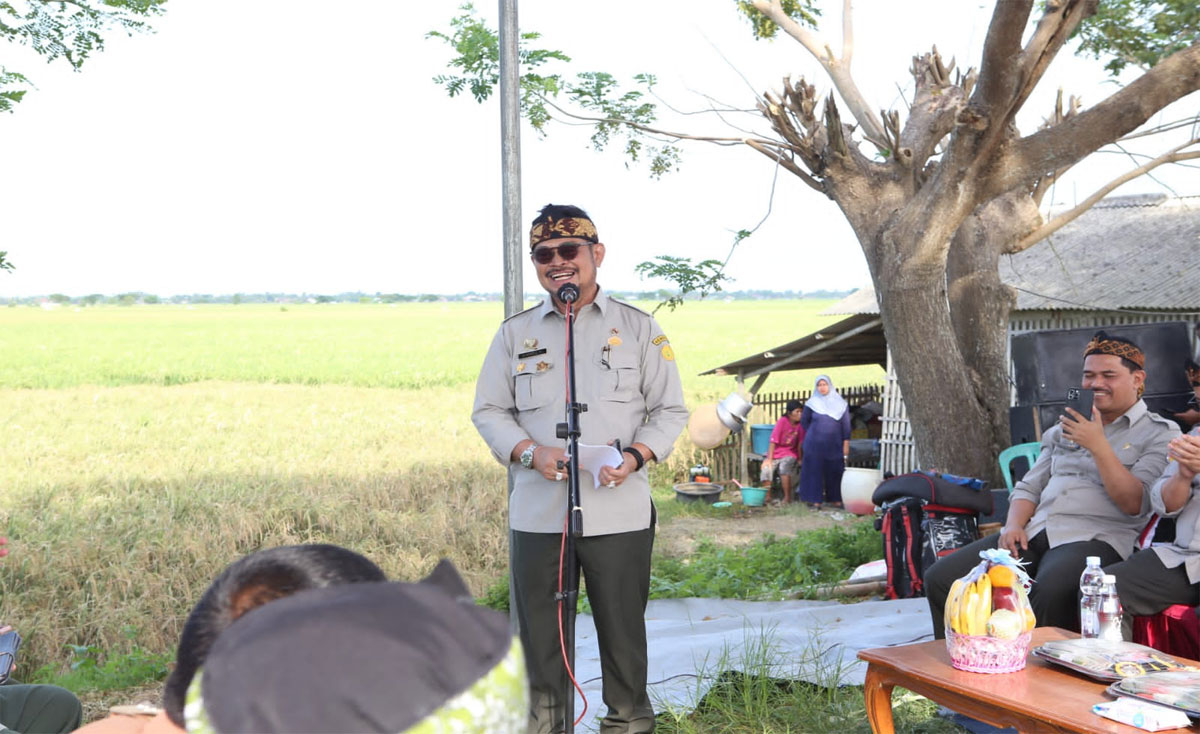 Hasil Melimpah, Mentan SYL Panen Raya Perdana Padi Di Karawang - Indoposco