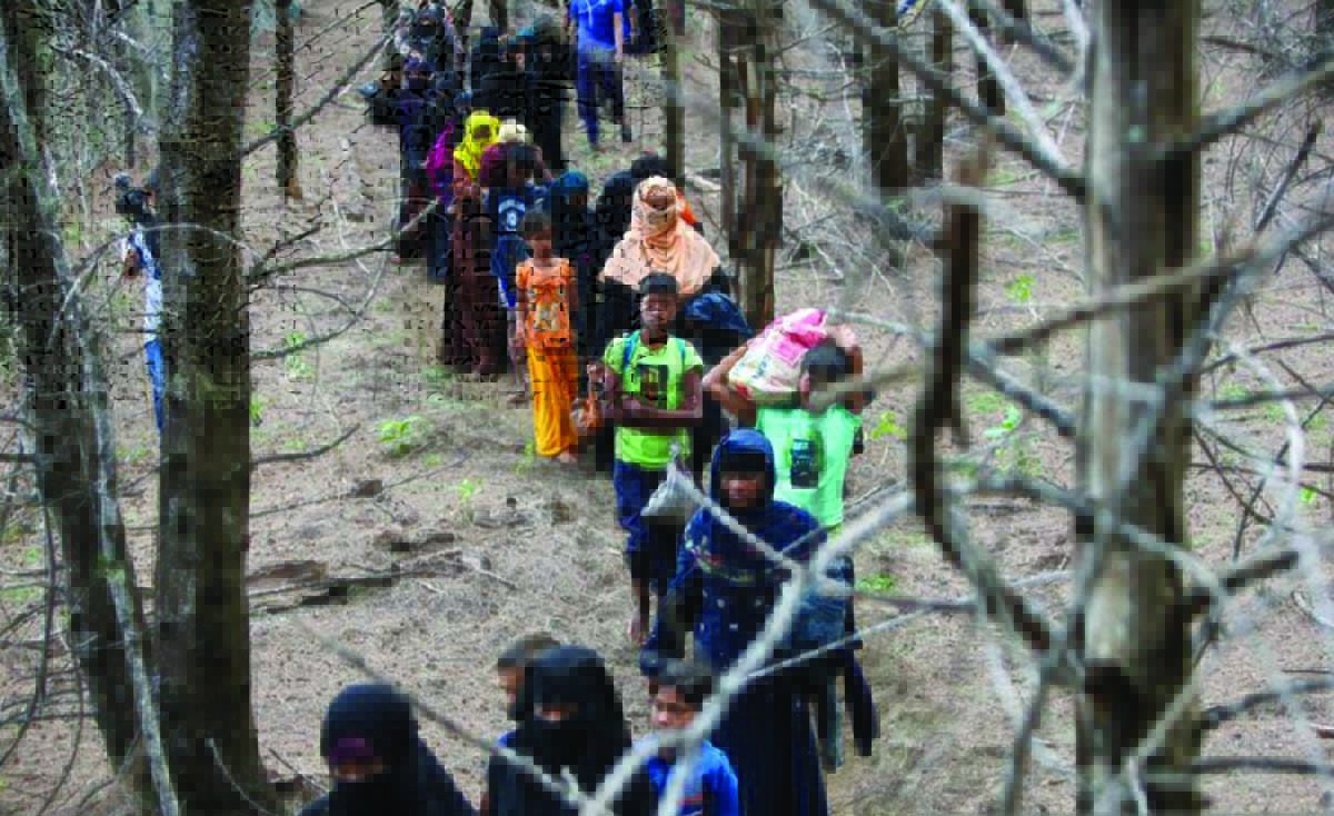 rohingya