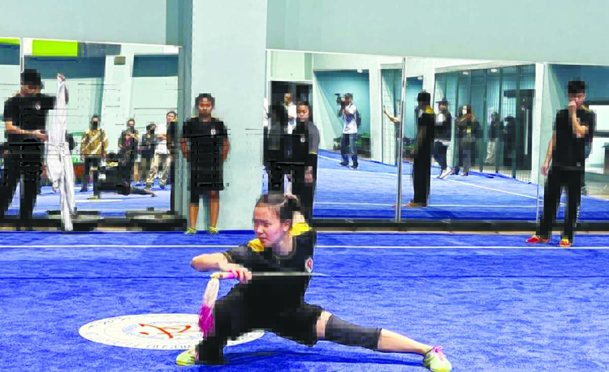 wushu