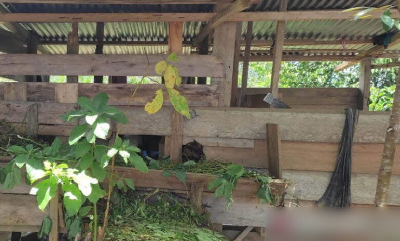 Kandang-Kambing
