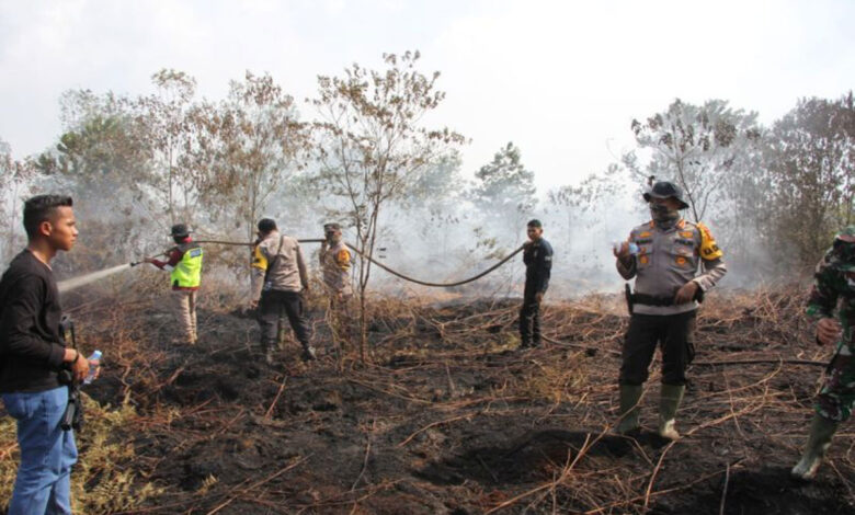 Lahan-Terbakar