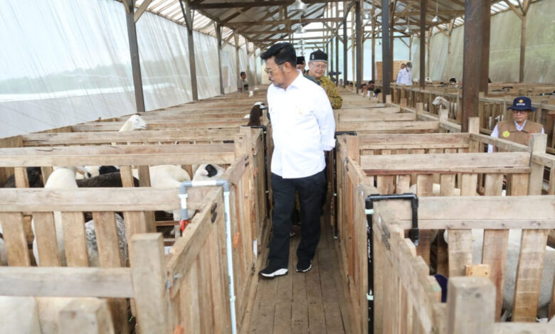 Peninjauan-Mahir-Farm