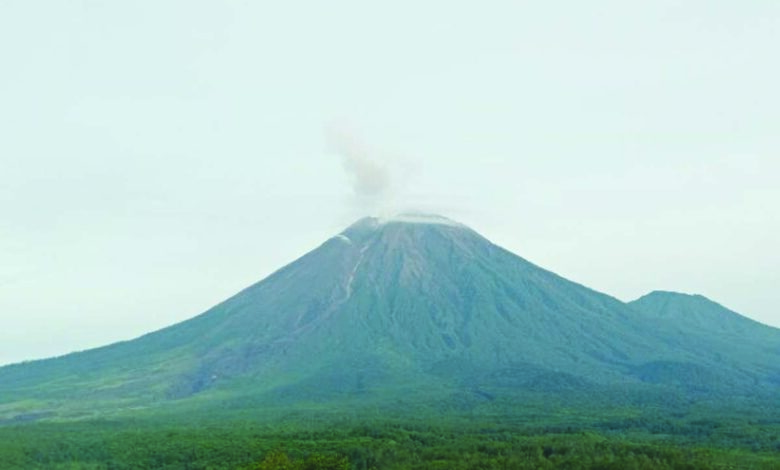 Gunung Semeru Mengalami 14 Kali Gempa Letusan - Indoposco