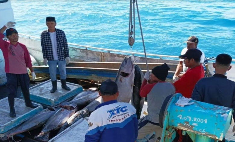Ikan-Tuna