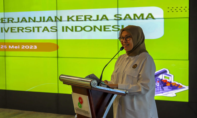 Shinta-Damayanti