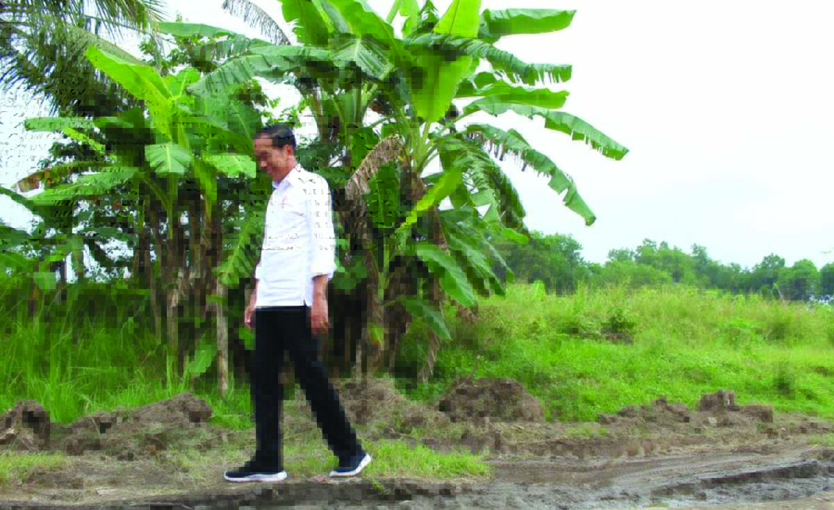 lampung