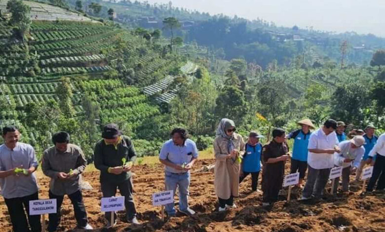 petani-di-Desa-Tanggulanom