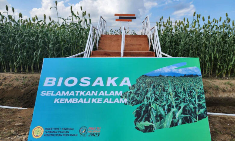 Biosaka-co