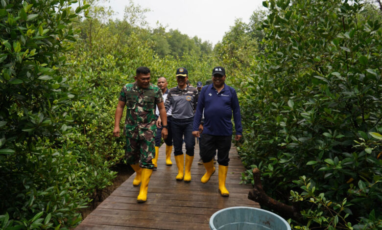 Bibit-Mangrove-2