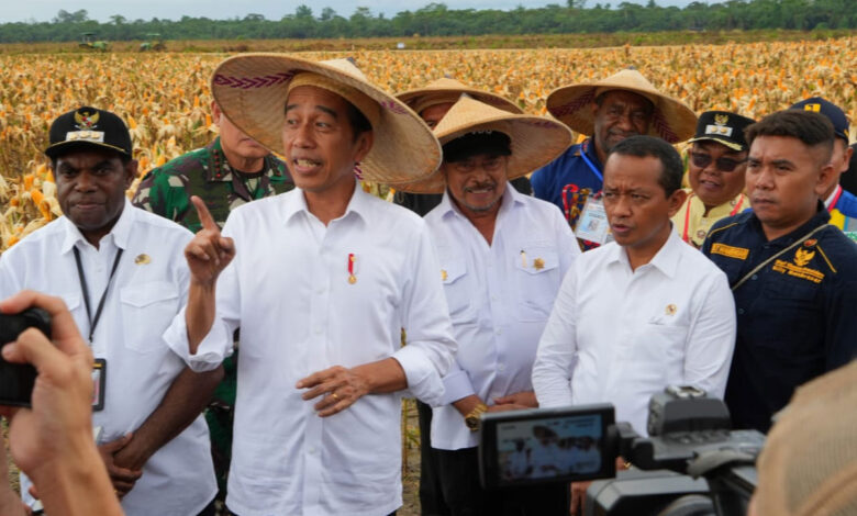 Jokowi-dan-sahrul