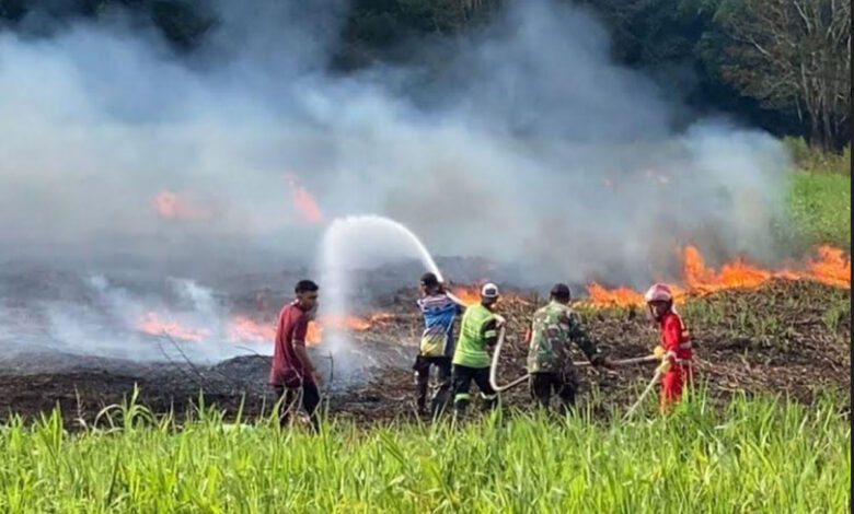 Kebakaran-Lahan-Gambut