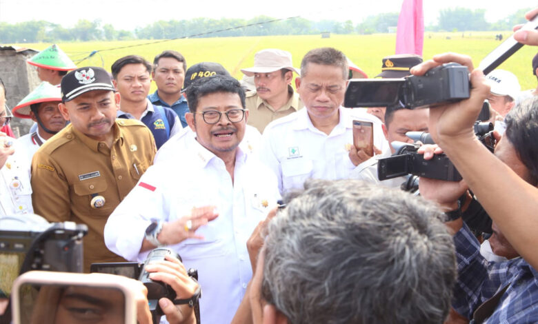 Kejar-Tanam-2