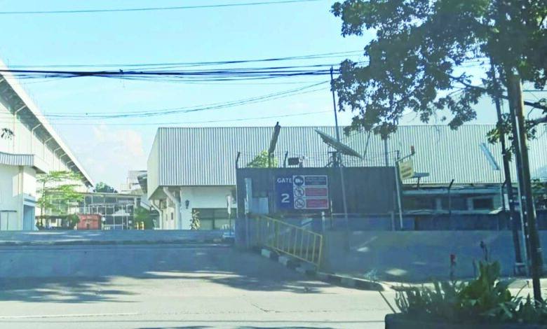 hatsuu