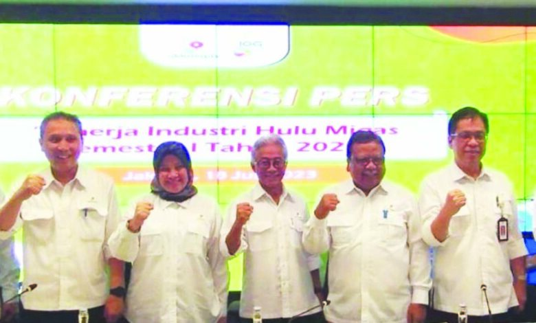 SKK Migas Targetkan 11 Proyek Hulu Migas Berproduksi Pada 2023 - Indoposco