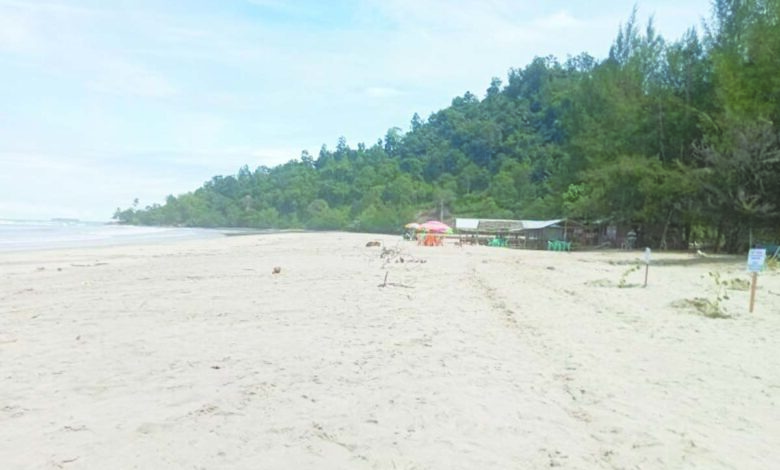 pasaman