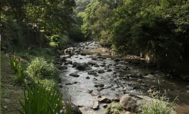 kawasan-hulu-Sungai-Cikapundung