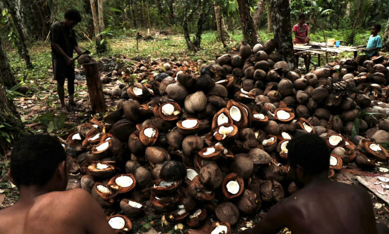 Kelapa