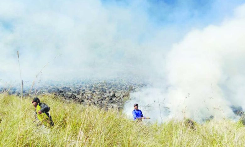 bromo
