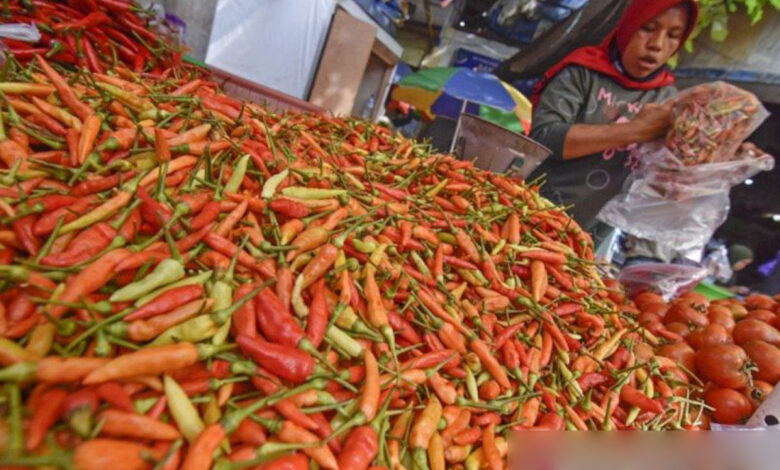 Bahan-Makanan-Cabai