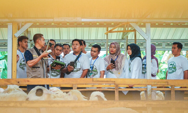 Sekolah-Ternak-co