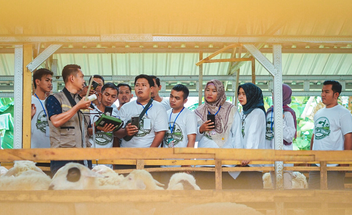 Sekolah-Ternak-co