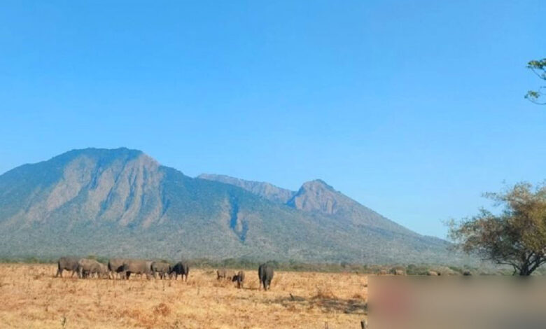 Taman-Nasional-Baluran