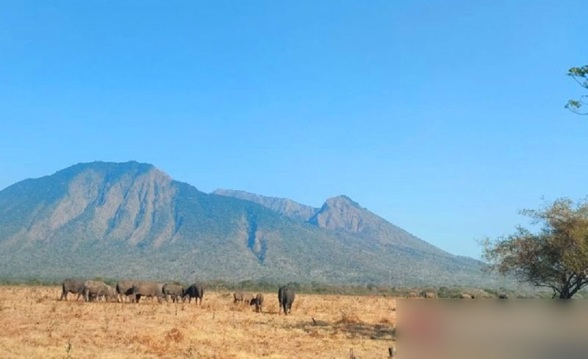 Taman-Nasional-Baluran