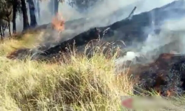 Kebakaran Hutan Meluas Di Gunung Lawu Bnpb Kerahkan 130 Personel