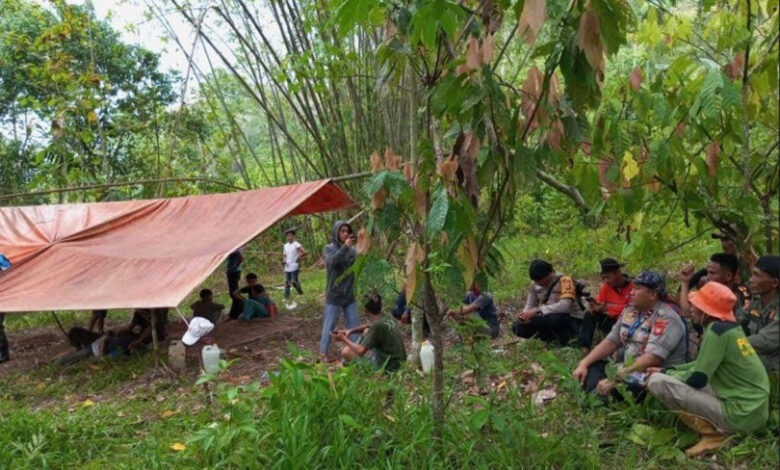 Hutan-Empat-Lawang