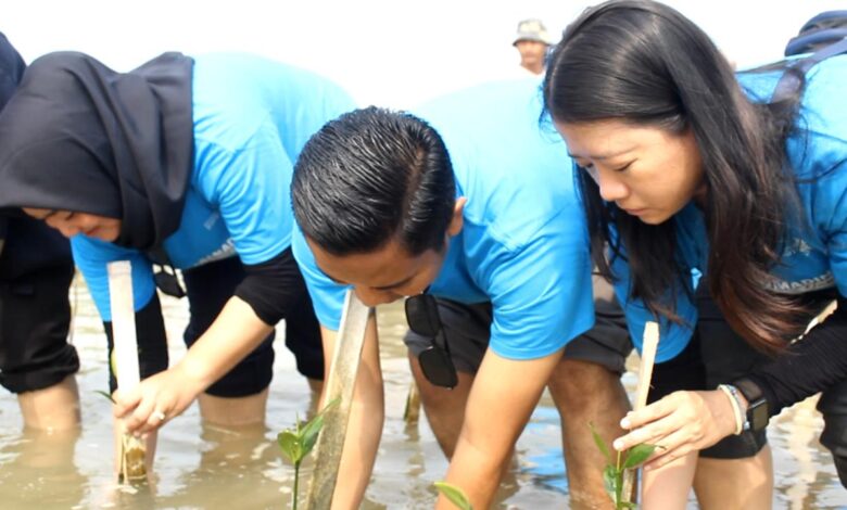 Aksi menanam ribuan bibit mangrove di Pulau Untung Jawa, Kepulauan Seribu, DKI Jakarta. (Dok Universitas Paramadina)