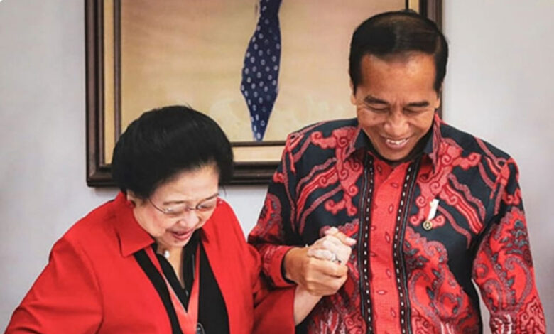 Mega-Jokowi-co