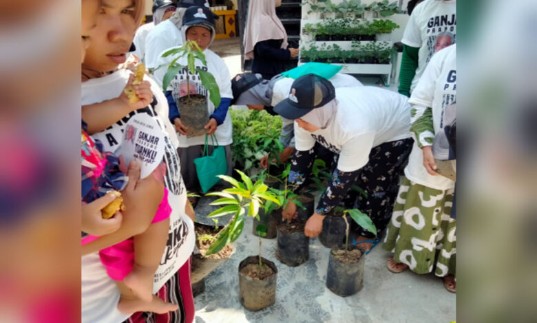 Pemberian-Bibit-Mangga-co