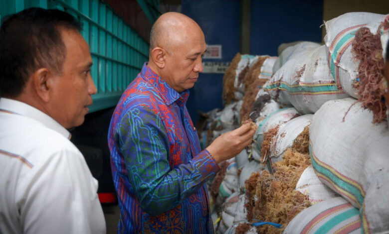 Rumput-Laut