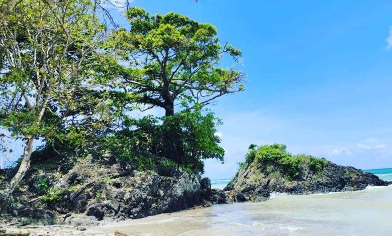 Ujung-Kulon-co
