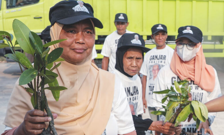 mangroveco