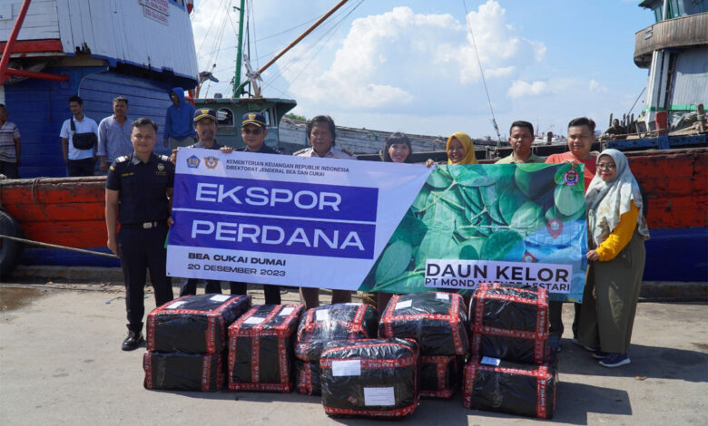 Ekspor-Daun-Kelor-co